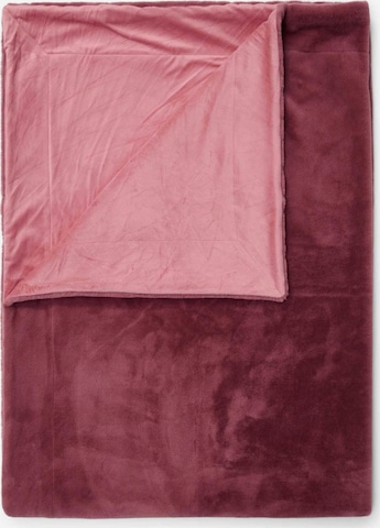 ESSENZA Decke ' Furry ' in Pink: Vorderseite