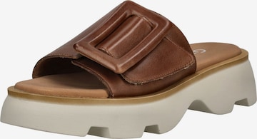 Zoccoletto di GABOR in beige: frontale