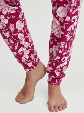CALIDA Pajama 'Sweet Dreams' in Purple