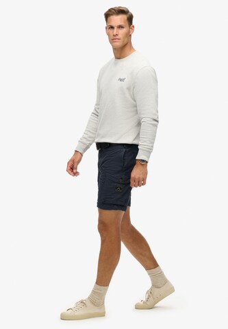 Loosefit Pantalon cargo Superdry en bleu
