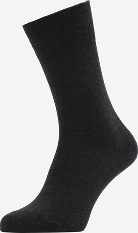 FALKE - Calcetines deportivos en negro: frente