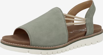 ARA Sandals in Green: front