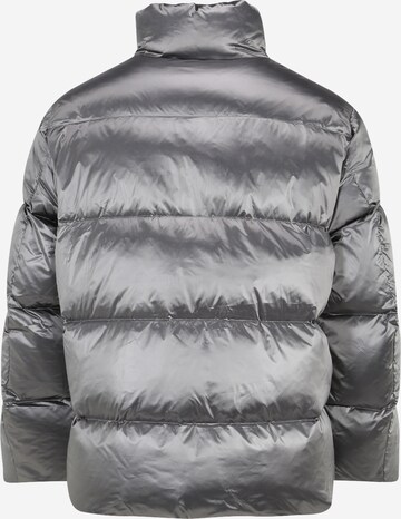 Veste d’hiver Calvin Klein Big & Tall en gris