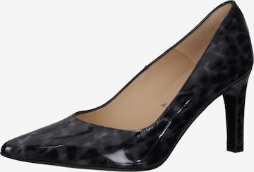 PETER KAISER Pumps in Black: front