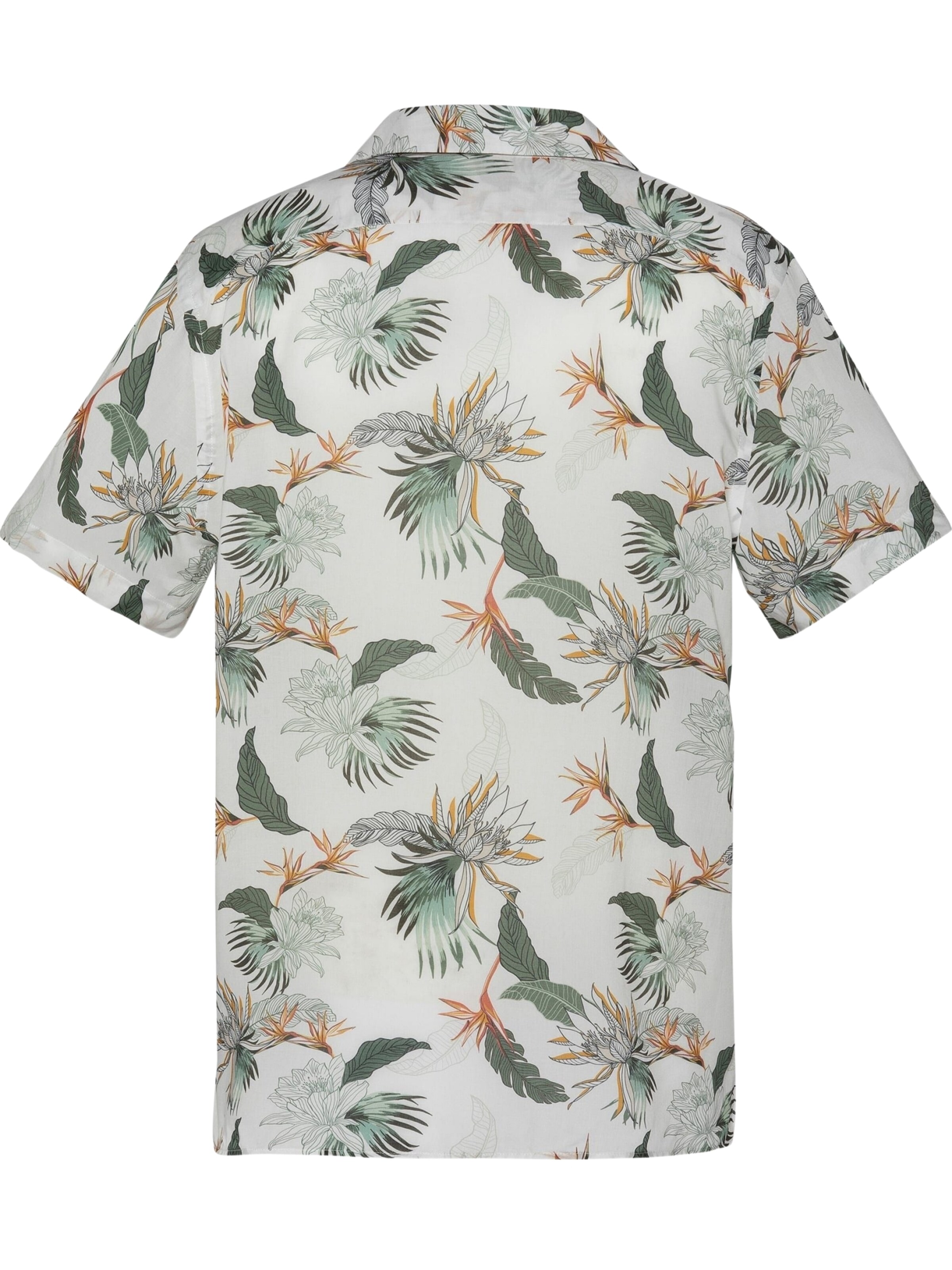 Coupe regular Chemise 'SHRIVERA' Schott NYC en blanc