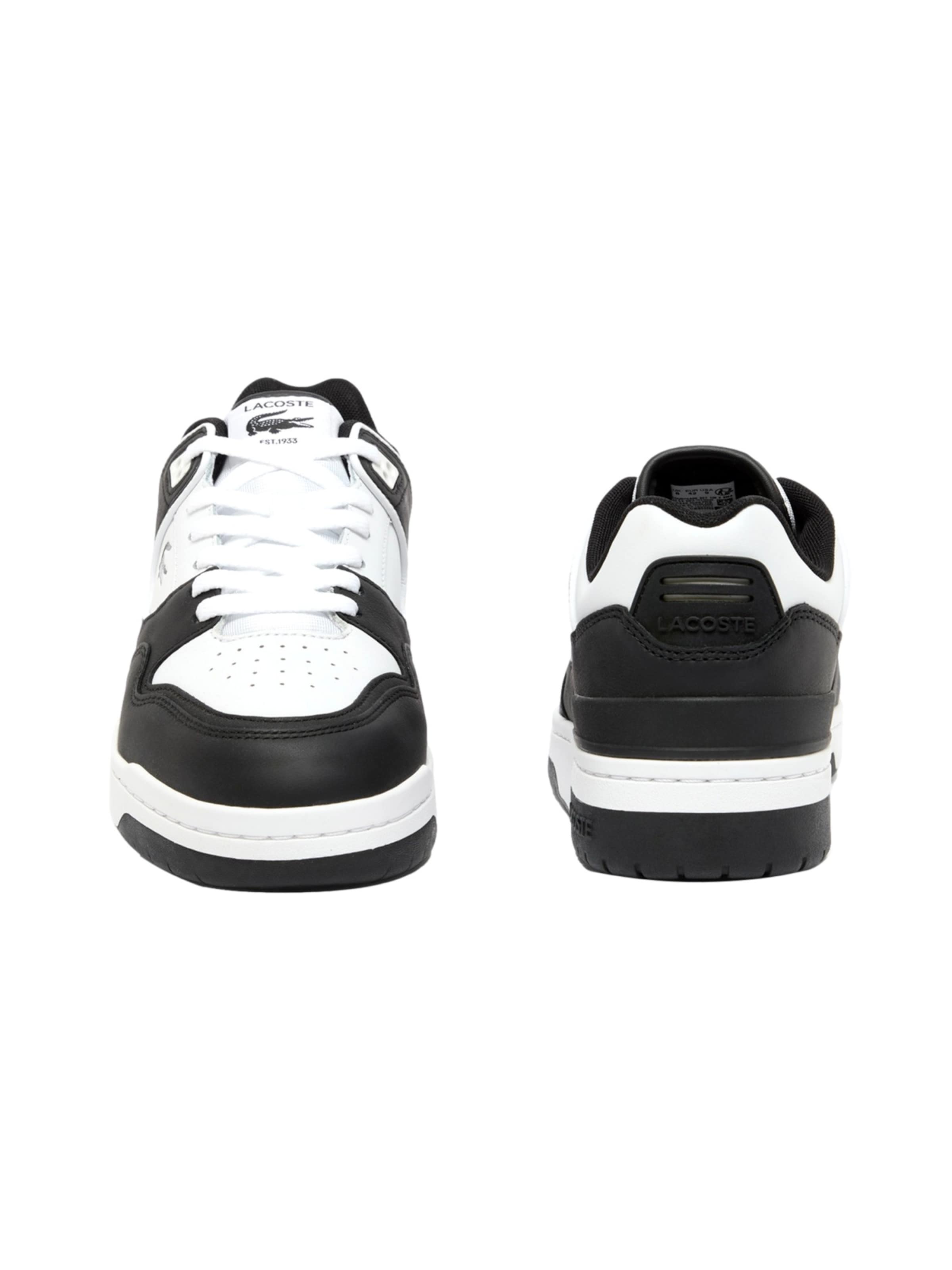 LACOSTE Sneakers laag 'Courtcage Set' in Zwart