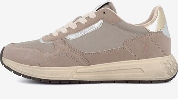 Baskets basses 'Seneka' US POLO ASSN. en gris : devant