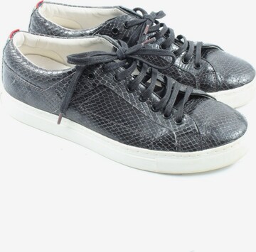 BOSS Black Sneakers & Trainers in 39 in Blue: front