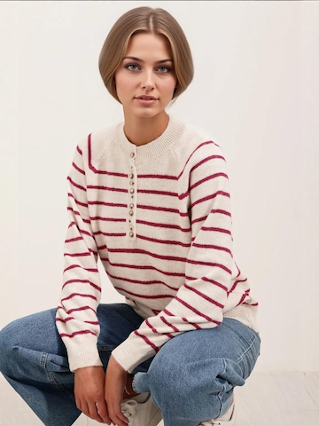 Bigdart Trui in Roze