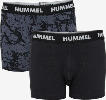 Hummel Unterhose 'Nolan' in Blau: predná strana