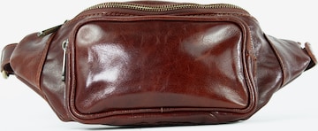 Marsupio 'TINO' di lePelou in marrone: frontale