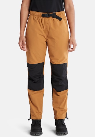 TIMBERLAND - regular Pantalón deportivo en marrón: frente