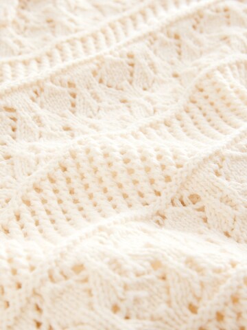 Next Pullover in Beige
