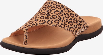 GABOR Zehentrenner in Beige: Vorderseite