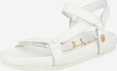 TOMMY HILFIGER Matkasandaal helepruun, Tootevaade