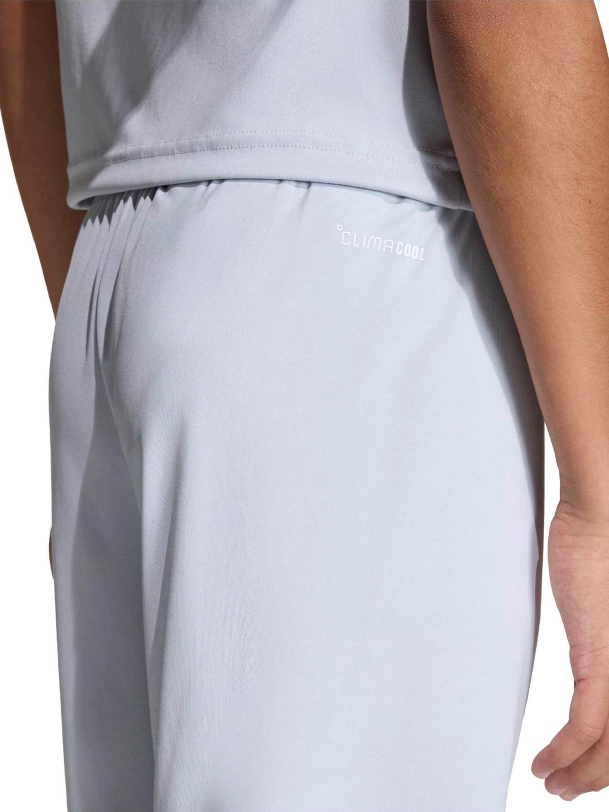 ADIDAS PERFORMANCE - regular Pantalón deportivo 'ENT26' en gris