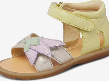 Falcotto Open shoes 'ALBY' in Pink: front
