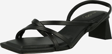 ALDO Strap Sandals 'MINIMA' in Black: front