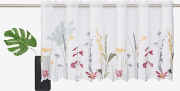 HOME AFFAIRE Curtains & Drapes in White: front