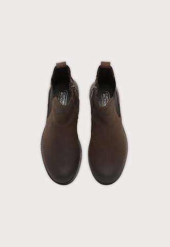 CAMEL ACTIVE - Botas em castanho