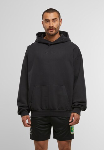 Colucci Sweatshirt 'Ikarus' in Bruin: voorkant