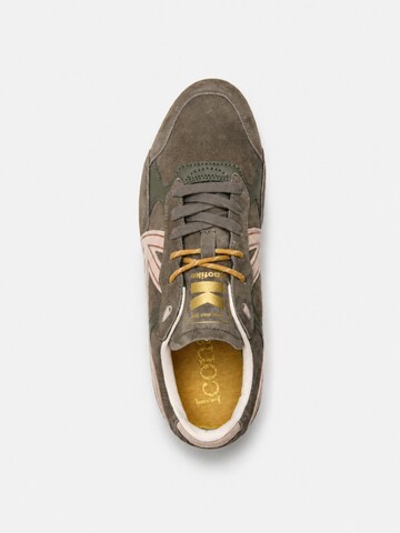 Kaotiko Sneakers laag 'Seattle' in Groen