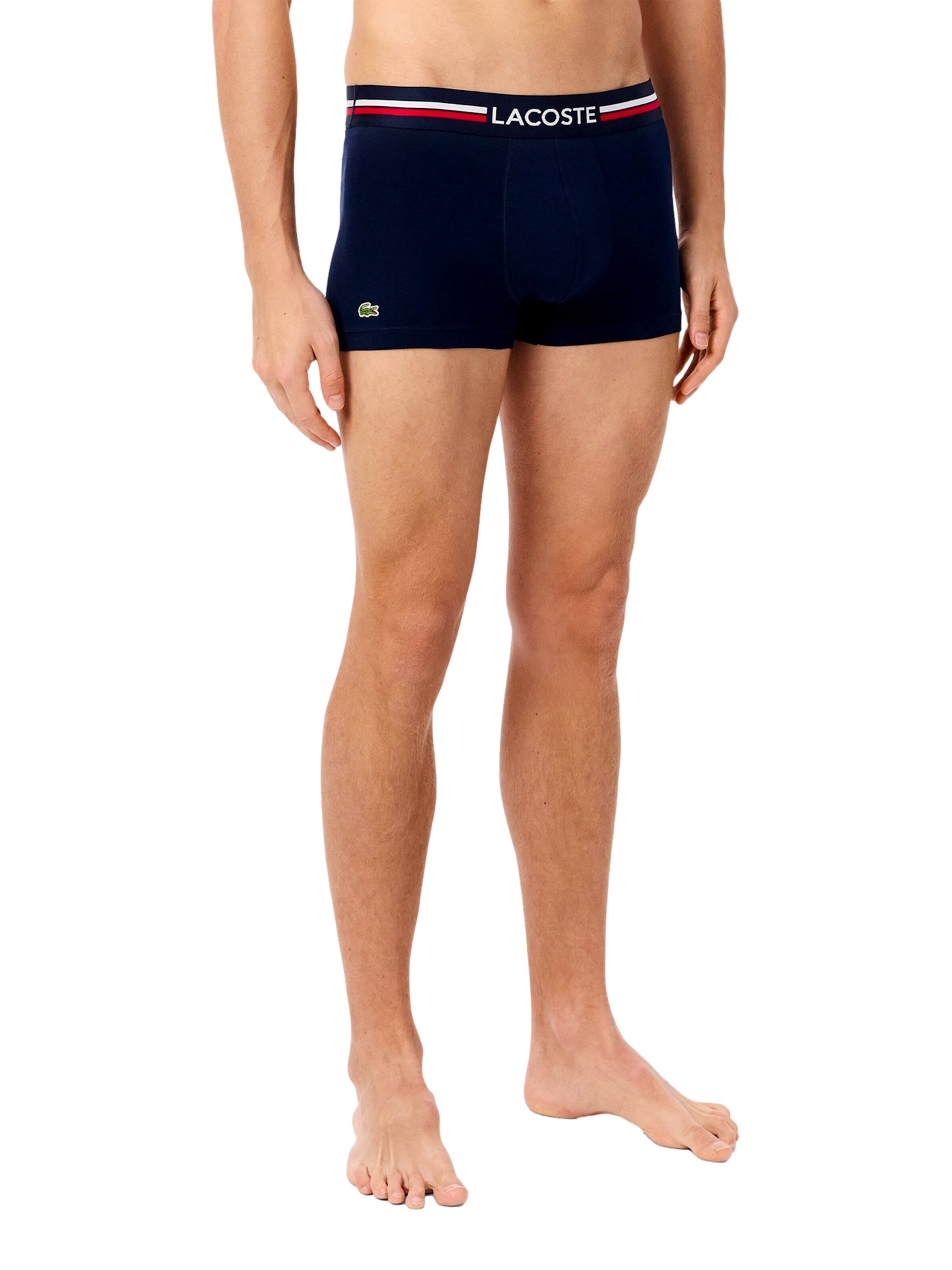 Boxer di LACOSTE in grigio