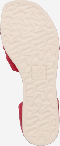 Sandale 'Chanel 43' de la Apple of Eden pe roz