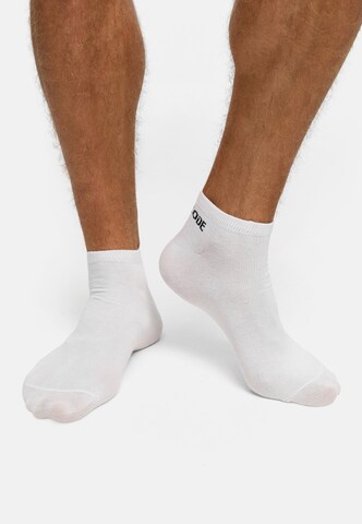 INDICODE JEANS Sokken 'Foltman' in Wit: voorkant