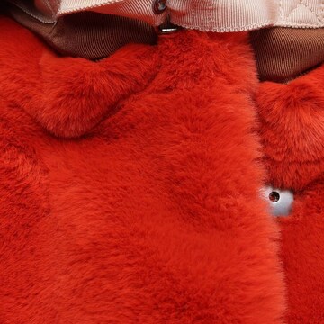 Luisa Cerano Jacket & Coat in S in Orange
