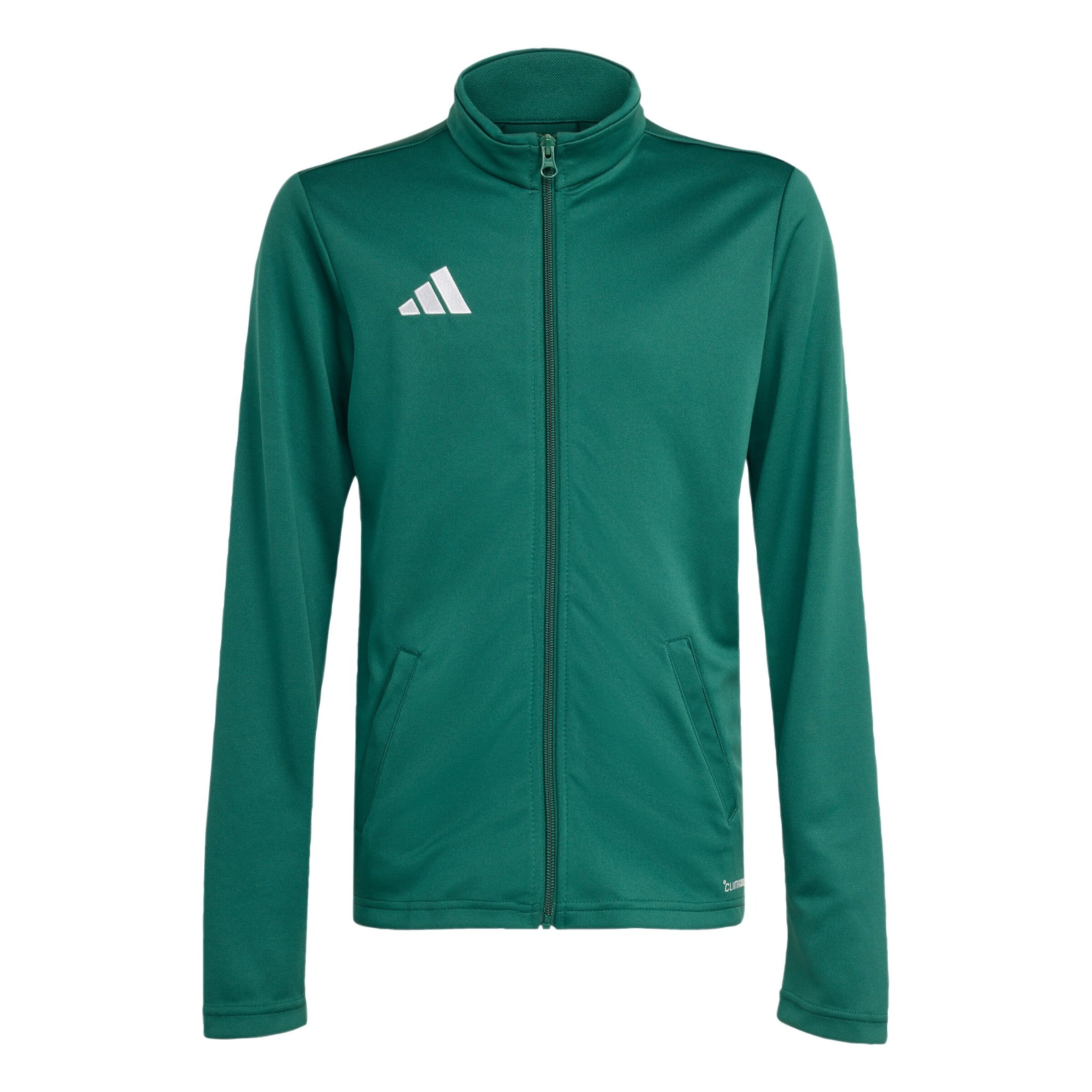 Giacca di felpa sportiva 'Entrada26' di ADIDAS PERFORMANCE in verde: frontale