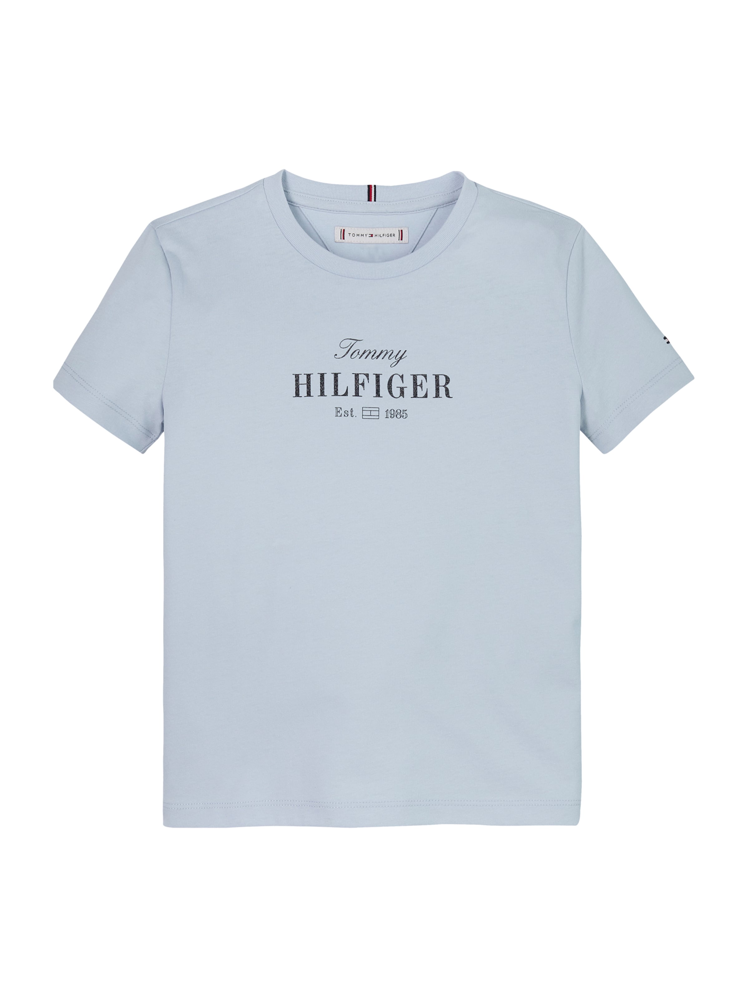 TOMMY HILFIGER Shirts i blå: forside