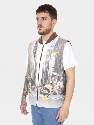 Gilet 'NYS Photoreal' di DICKIES in colori misti