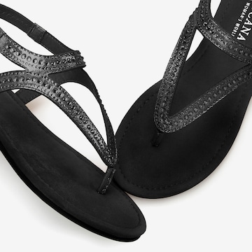 LASCANA T-bar sandals in Black