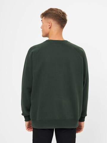 Derbe Sweatshirt in Grün