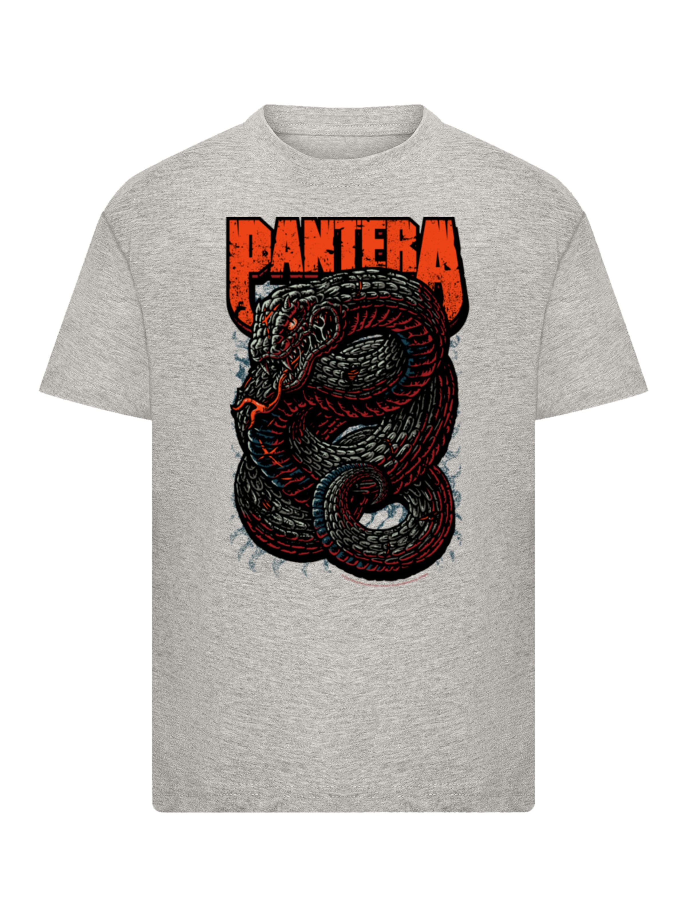 F4NT4STIC Shirt 'Pantera Venomous Snake' in Grijs: voorkant