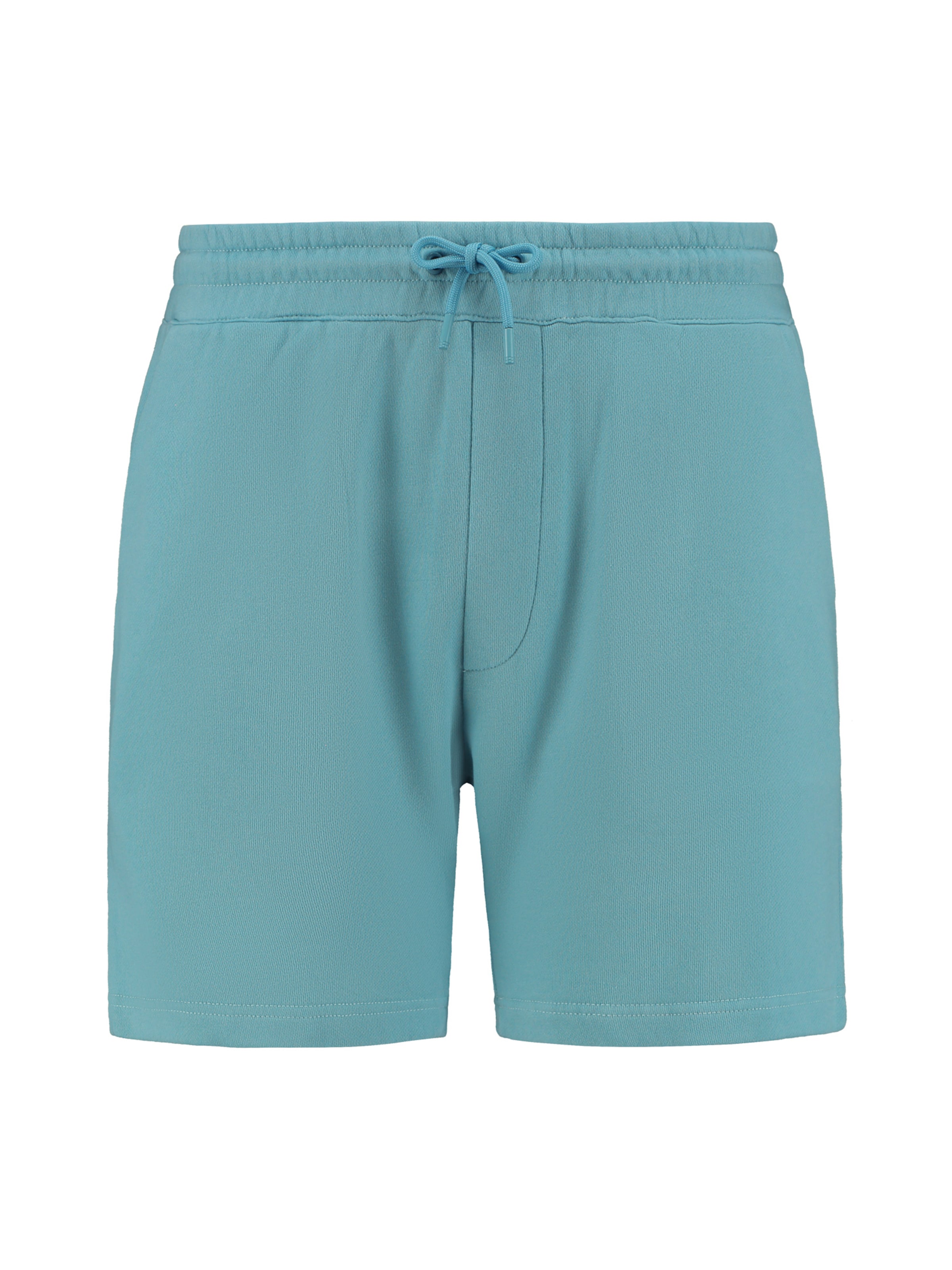 Shiwi Trousers 'Steve' in Blue: front