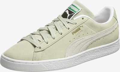 PUMA Baskets basses 'Suede Classic XXI' en vert / blanc, Vue avec produit