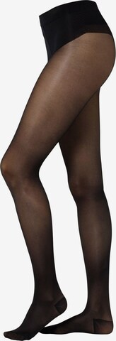 camano Fine Tights 'SHAPE & ACTIVE' in Black: front