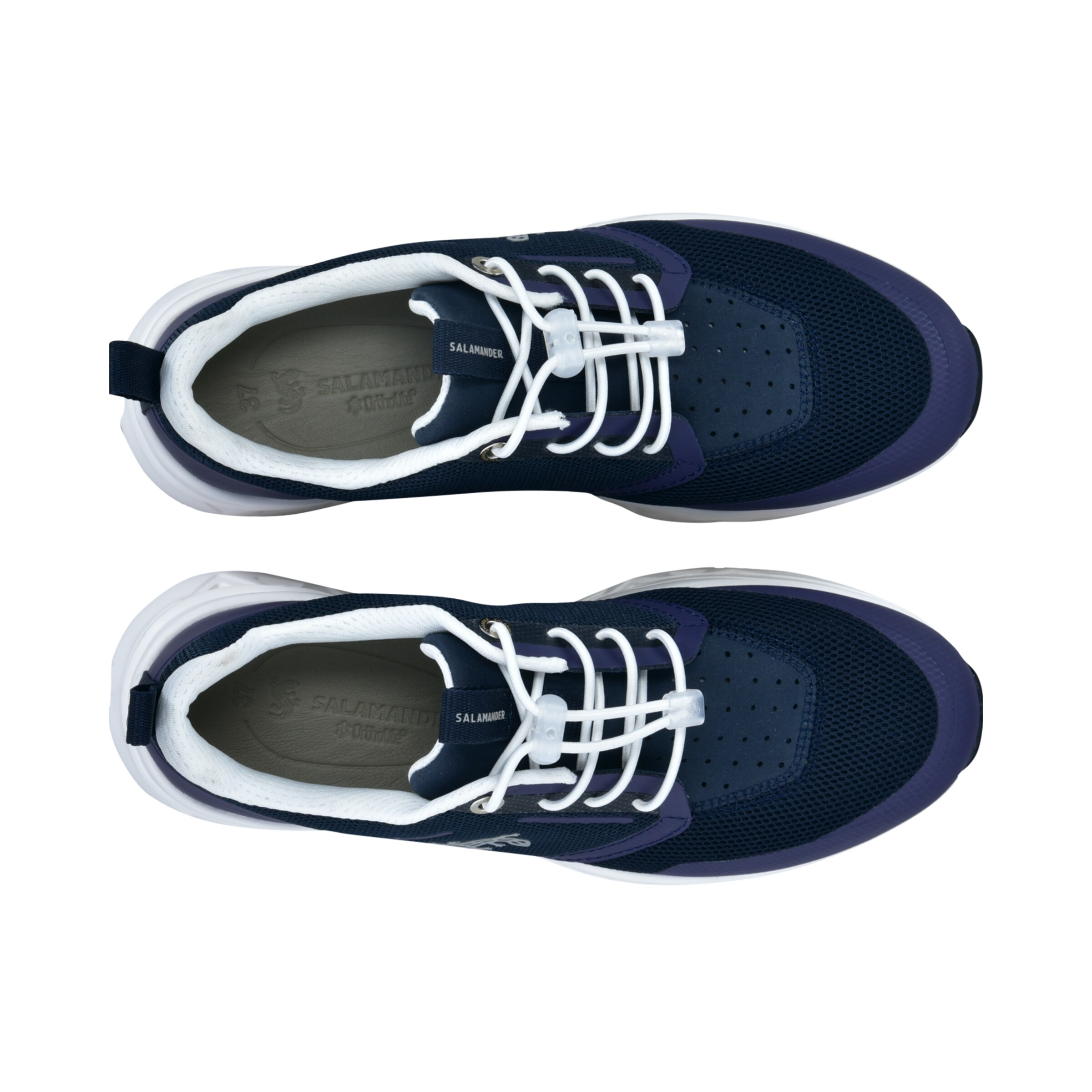 SALAMANDER Sneakers in Blue