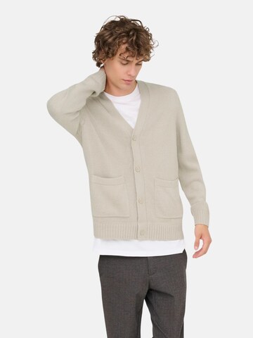 Only & Sons - Jersey 'ONSMAJOR RLX' en beige