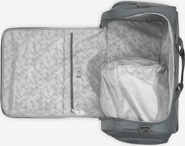 Sac de voyage Roncato en gris