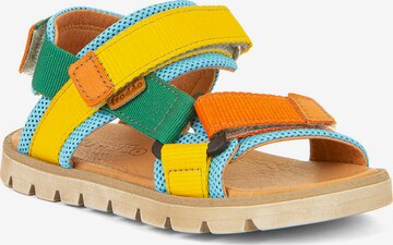 Froddo Sandals in Mixed colors: front
