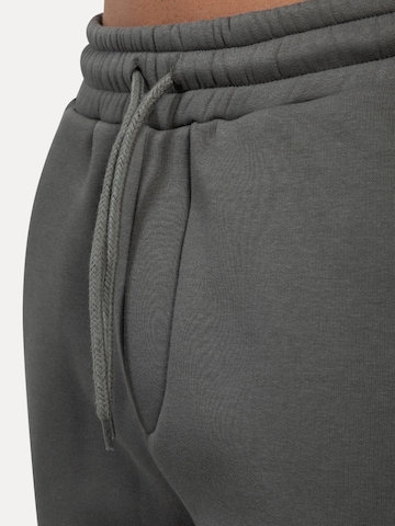 Effilé Pantalon Smilodox en gris