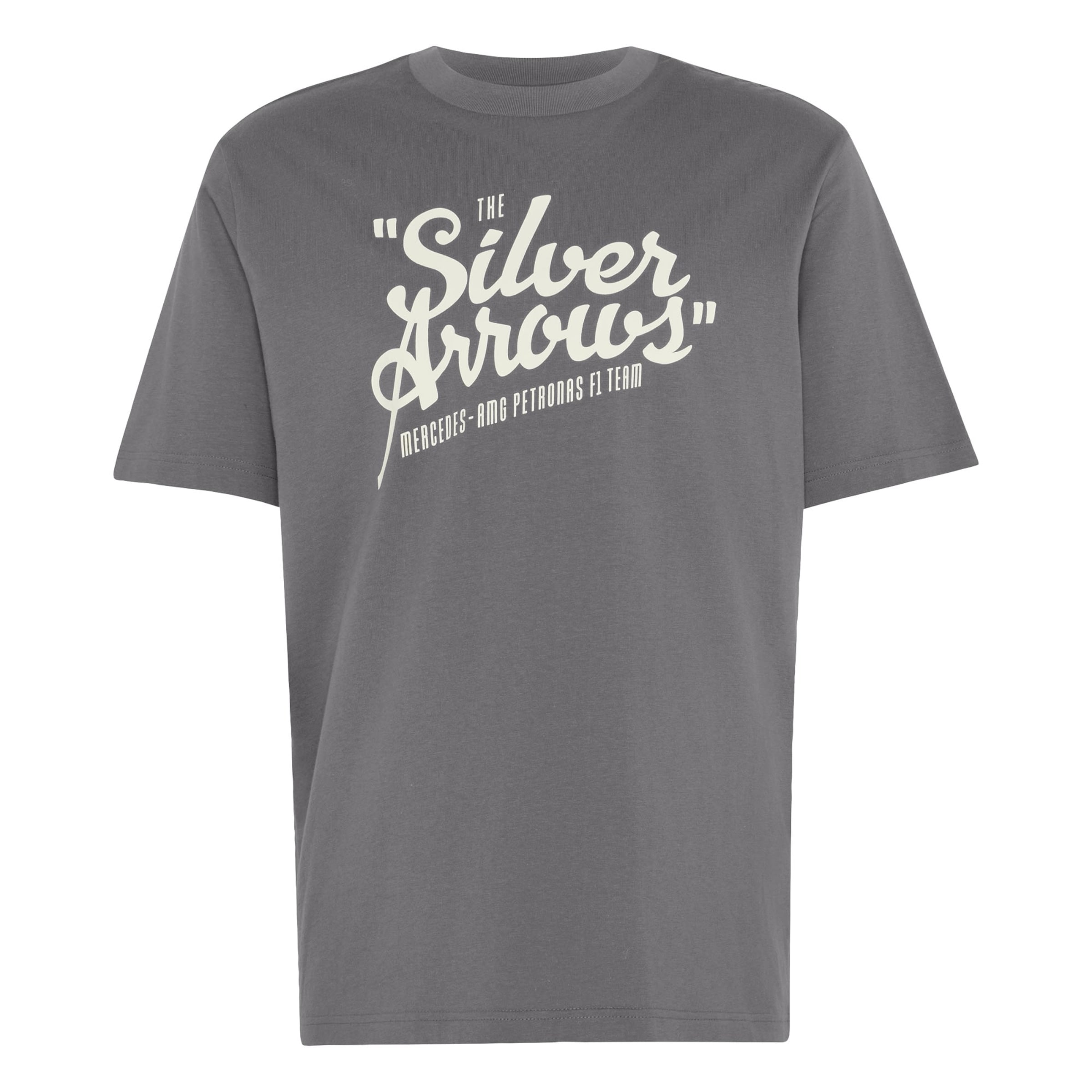ADIDAS PERFORMANCE - Camiseta funcional 'Mercedes - AMG Petronas Formula 1 Team Silver Arrows' en gris: frente
