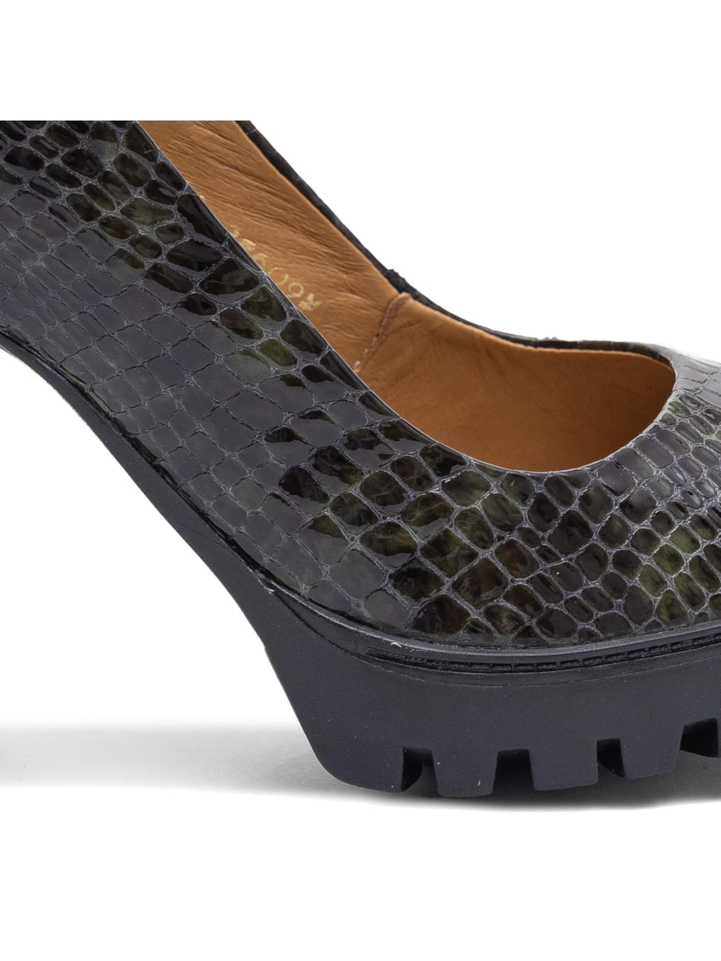 Maciejka Pumps in Zwart
