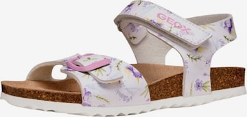 Sandalo di GEOX in bianco: frontale