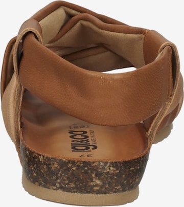 IGI&CO Sandals in Brown