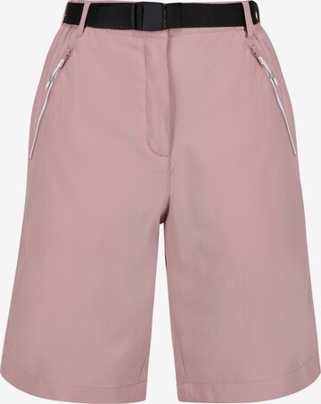 REGATTA Outdoor Pants 'Xert It' in Pink: front