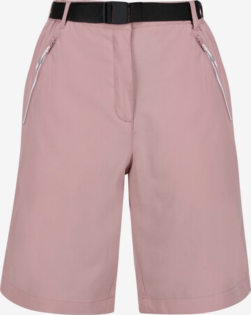 REGATTA Regular Outdoor Pants 'Xert It' in Pink: front